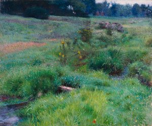 Il Ruscello di Medfield da Dennis Miller Bunker