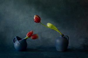 Elegante natura morta con tulipani