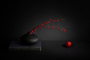 Natura morta con bacche rosse in un vaso nero