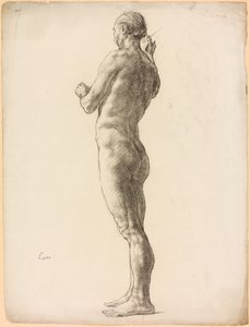 Studio di una figura maschile
