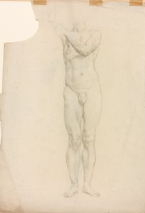 Studio di una figura maschile