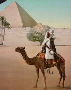 Beduino su un cammello e la Grande Piramide, Cairo, Egitto da Detroit Photographic Co.
