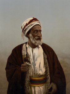 Sceicco di un villaggio della Palestina, Terra Santa, c.1890-c.1900 da Detroit Photographic Co.