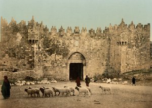 La Porta di Damasco, Gerusalemme, Terra Santa, c.1890-c.1900