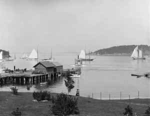 Bar Harbor, Isola di Mount Desert, Maine, il porto da Newport House, c.1901 da Detroit Publishing Co.