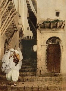 Strada dei cammelli, Algeri, c.1899
