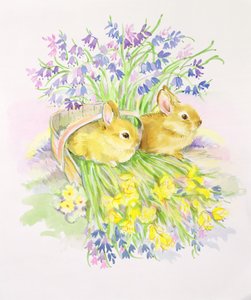 Conigli in un cesto con narcisi e campanule da Diane Matthes