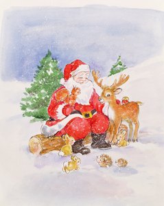 Babbo Natale e Amici da Diane Matthes