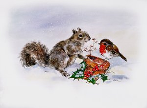 Lo scoiattolo e il pettirosso