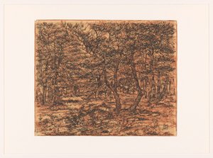 Paesaggio boschivo da Dick Ket (signed by artist)