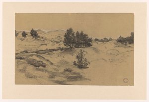 Paesaggio dunale