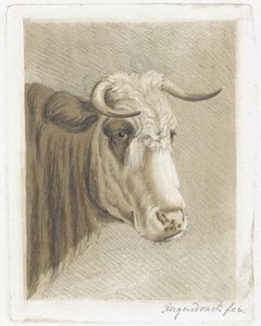 Koekop da Diederik Jan Singendonck (signed by artist)