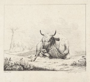 Mucca sdraiata da Diederik Jan Singendonck