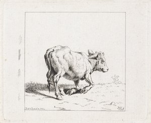 Vitello che si alza da Diederik Jan Singendonck