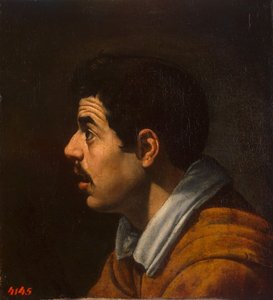 Testa di un uomo di profilo, c. 1616-1617 da Diego Velázquez