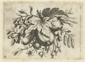 Festone di frutti da Dietrich Krüger (attributed to)
