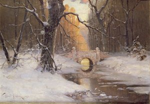 Paesaggio fluviale boscoso da Dimitri Kleburg
