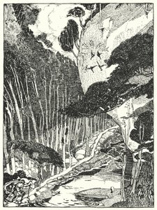 La foresta oscura da Dion Clayton Calthrop