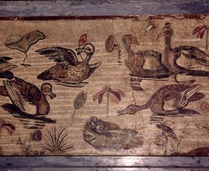 Mosaico romano da Pompei di anatre e rane in un giardino acquatico, I secolo