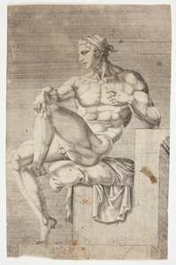 Nudo dalla Cappella Sistina