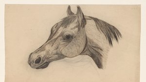 Testa di un cavallo, verso sinistra da Dirk Arnoldus Tavenraat
