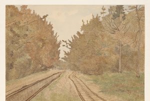 Paesaggio in Drenthe