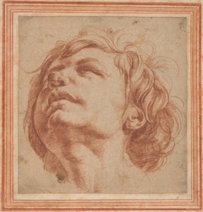 Studio della testa di un giovane che guarda verso l