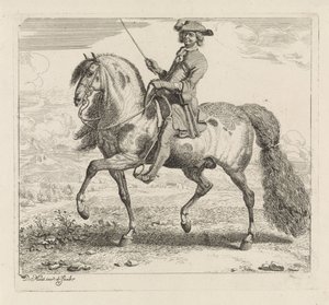 Cavaliere verso sinistra