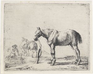 Cavallo legato a un palo verso sinistra