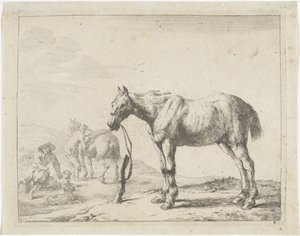 Cavallo legato a un palo verso sinistra