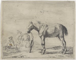 Cavallo legato a un palo verso sinistra