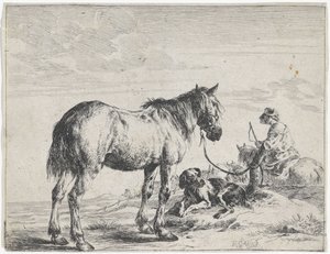 Cavallo legato a un palo
