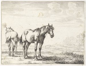 Due cavalli in un paesaggio