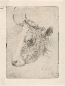 Testa di un toro da Dirk van Oosterhoudt