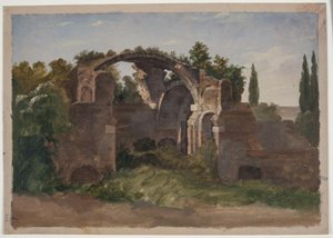Rovine. Terme di Caracalla a Roma?