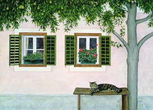 Pere austriache da Ditz Ditz
