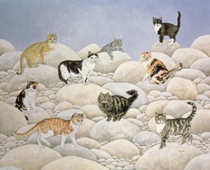 Gatti della Valle di Lynn da Ditz