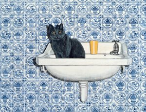 Il mio gatto del bagno