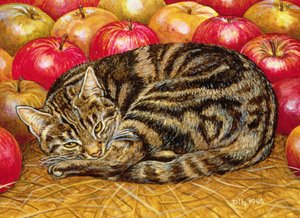 Gatto-Mela Destro, 1995 da Ditz
