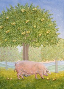 Maiale del frutteto destro