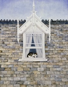 Gatto di St. Helier Dormer da Ditz