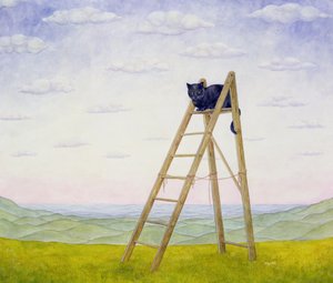 Il gatto sulla scala