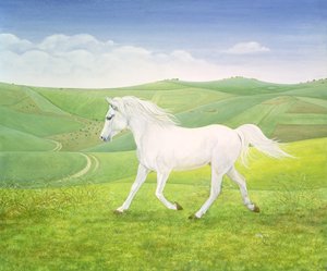 Il cavallo del paesaggio