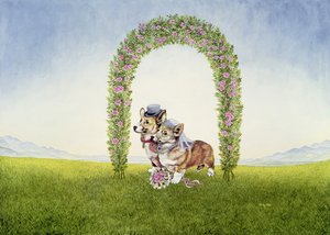 Il matrimonio reale da Ditz