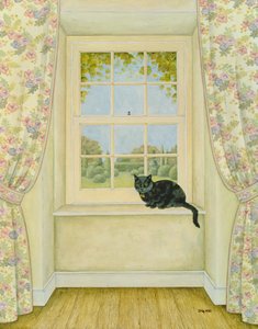 Il gatto alla finestra