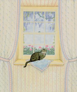 Glicine e gatto