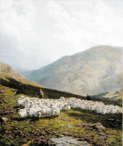 Pastore e pecore, Perthshire da Dixon Clark