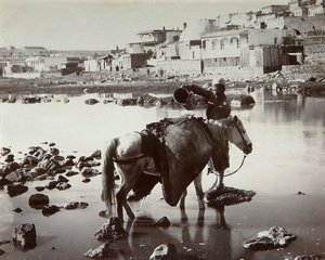 Un luogo di abbeveraggio, 1880s da Dmitri Ivanovich Yermakov