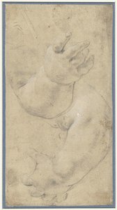 Studio di due braccia di bambino da Domenichino