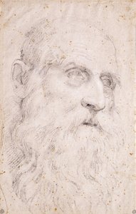 La Testa di San Girolamo da Domenichino